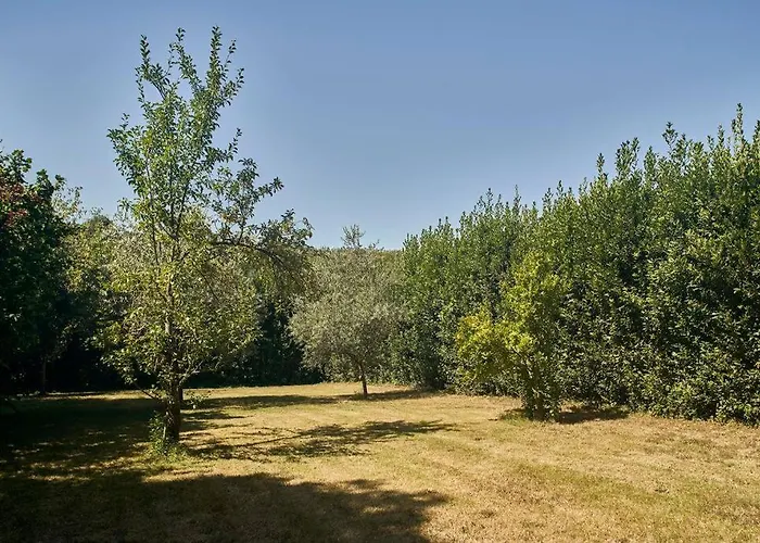 Apartament Il Leccio