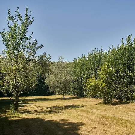 Apartment Il Leccio